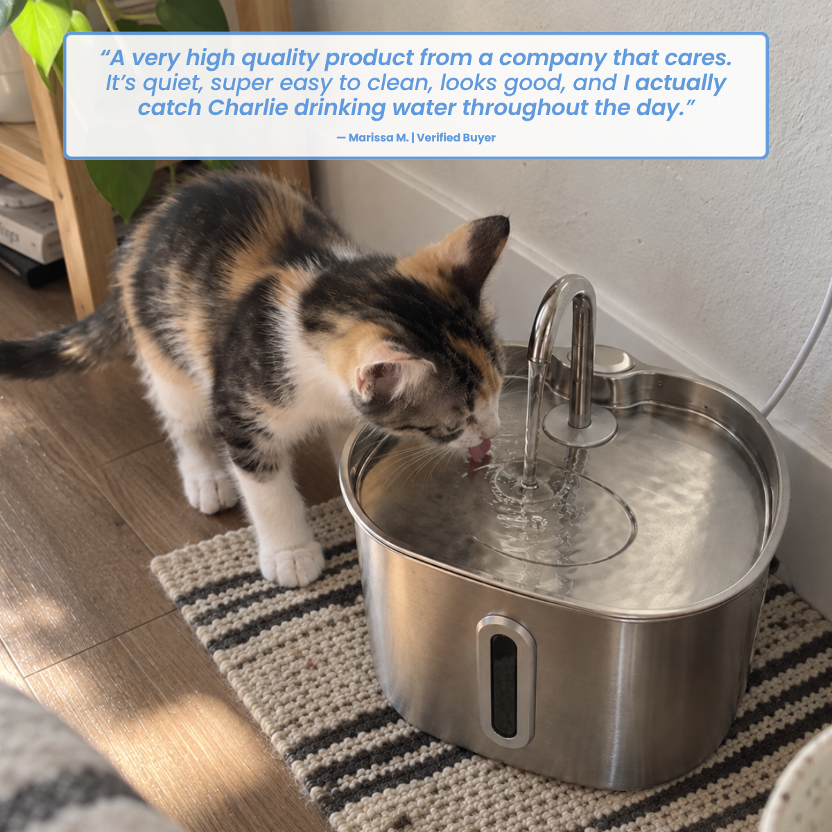 STAINLESS STEEL CAT FOUNTAIN